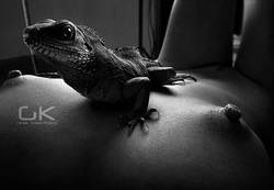 ���� ��������� l, ���������� ���� �����, bynthytn pyfrjvcndf