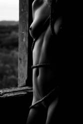 ���������� ��������� ���������, bdsm ����������