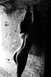 ������� ������� ����������