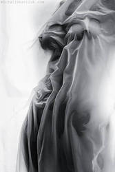 ���������� ������� �������, ���� ���������� � ���� ���, ���� ���������� 24 lux, ������� ������� ����������