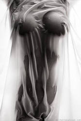 ���������� ���� �����