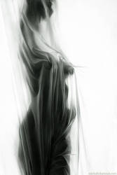 ���� ���������� � ����������, ������ ��������� ������� ����� ���������