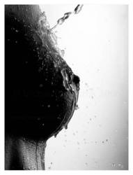 Www jdu ru ����������, ������ ����������� ���������